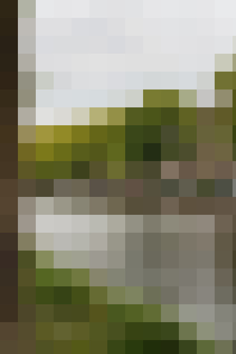 Image 35