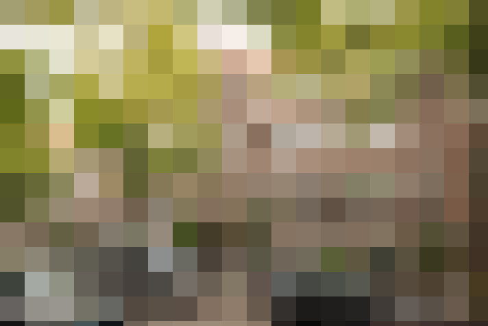 Image 30