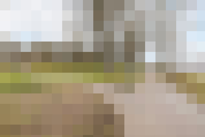 Image 29