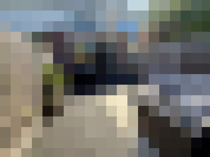 Image 13
