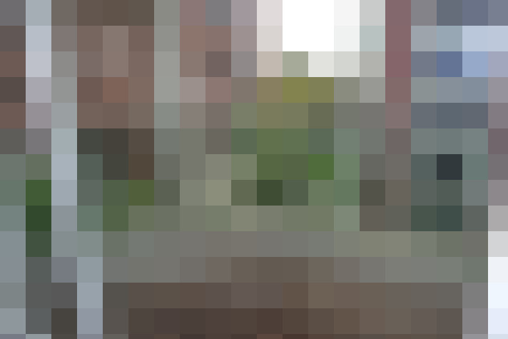 Image 15