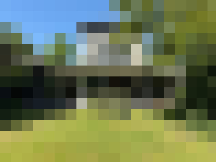Image 41