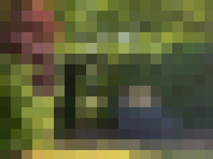 Image 40