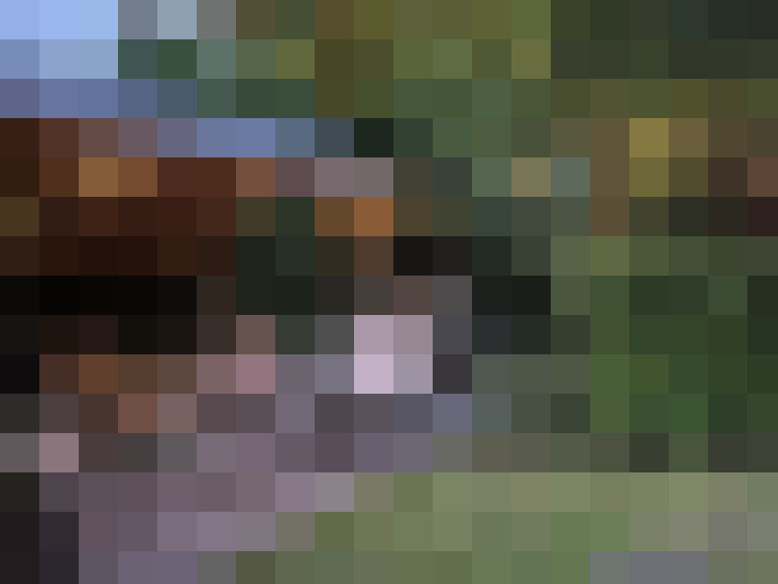 Image 39