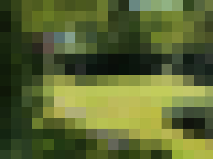 Image 36