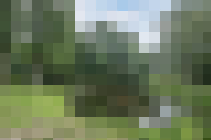 Image 43