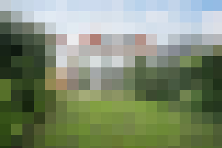 Image 33