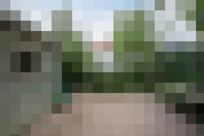 Image 37