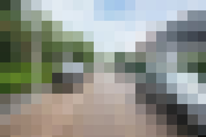 Image 42