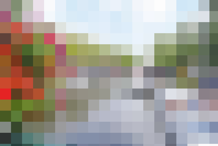 Image 22