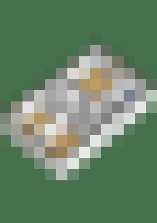 Image 42