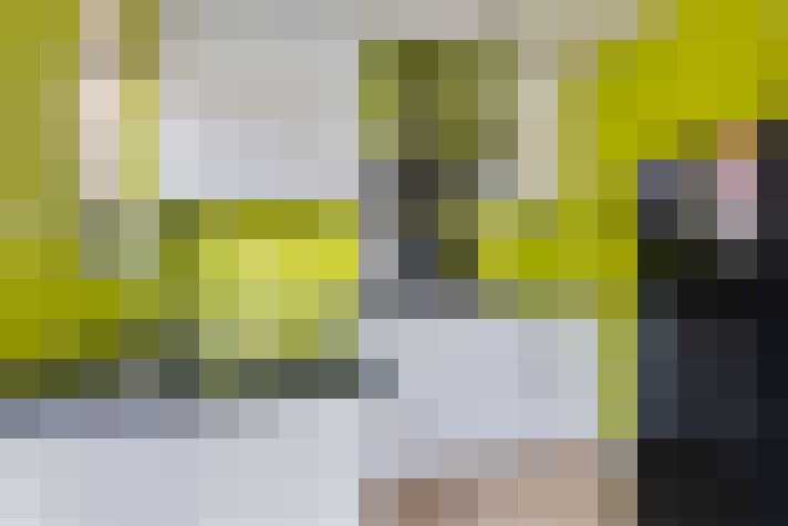 Image 13