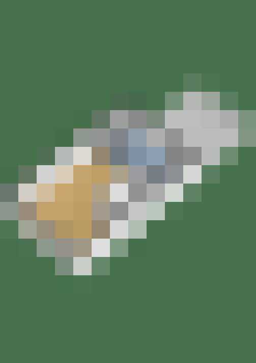 Image 41