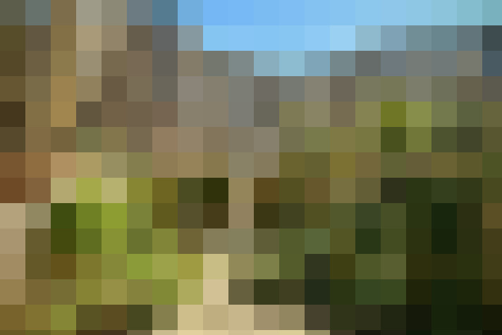 Image 21