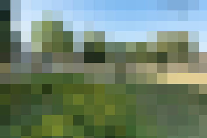 Image 46
