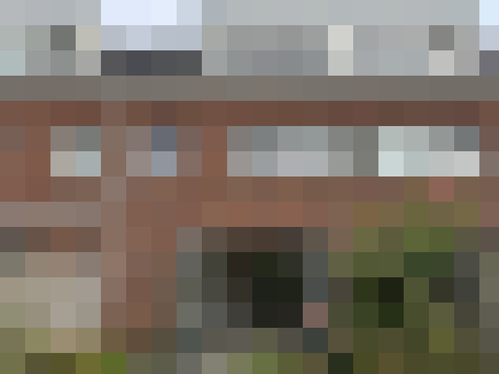 Image 15