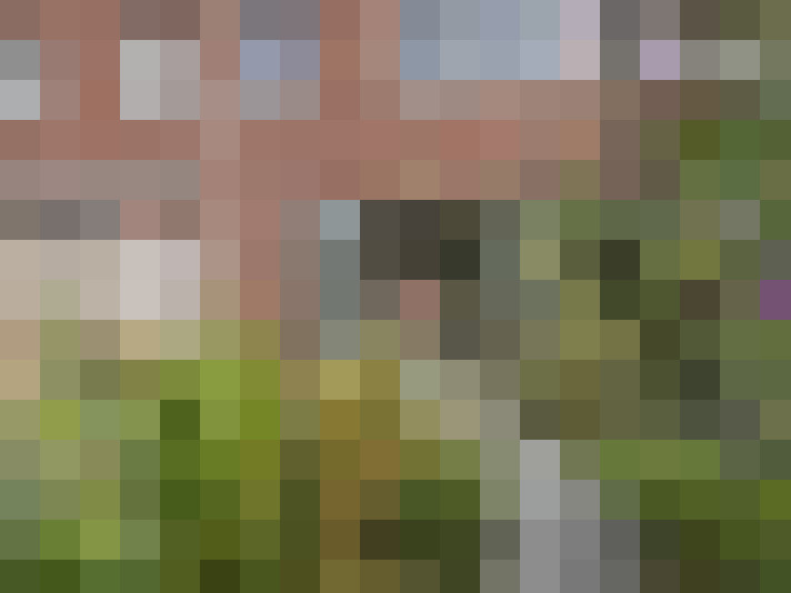 Image 13