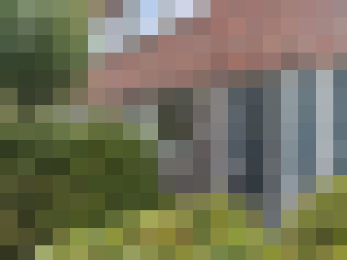 Image 33