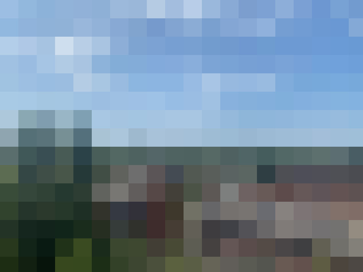 Image 14