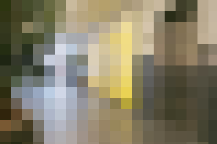 Image 22