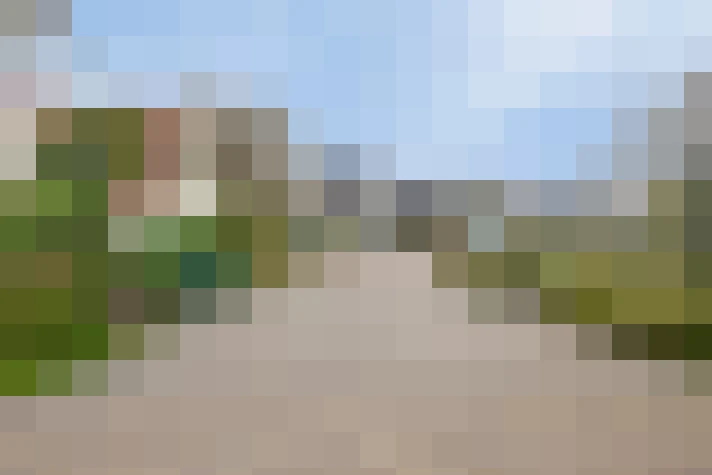 Image 37