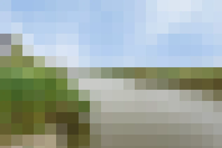 Image 33