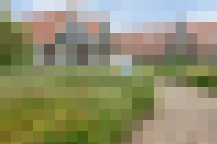 Image 38