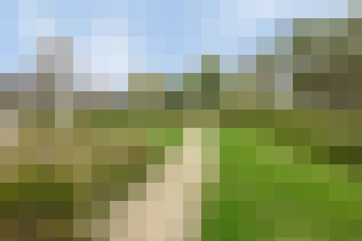 Image 36