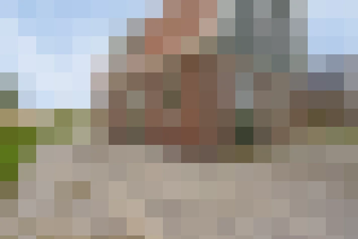 Image 30