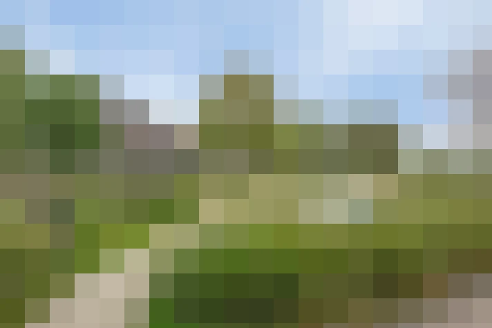 Image 34