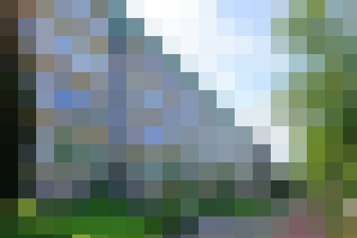 Image 17