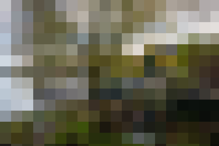 Image 15