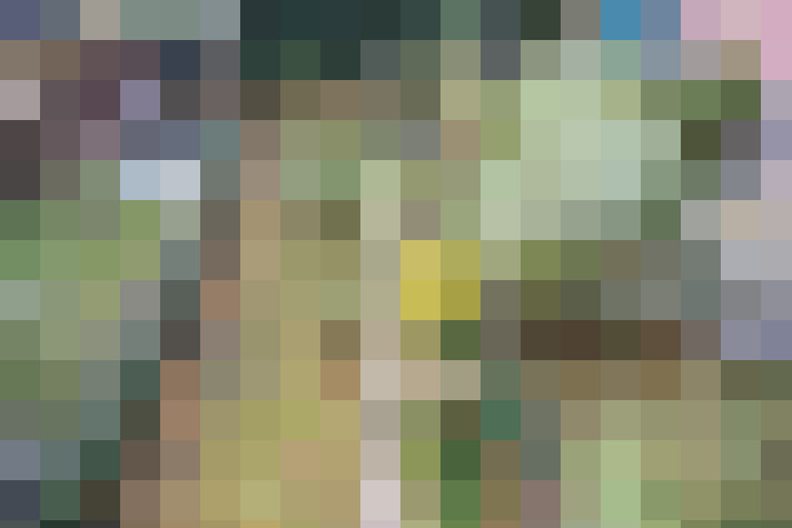 Image 14