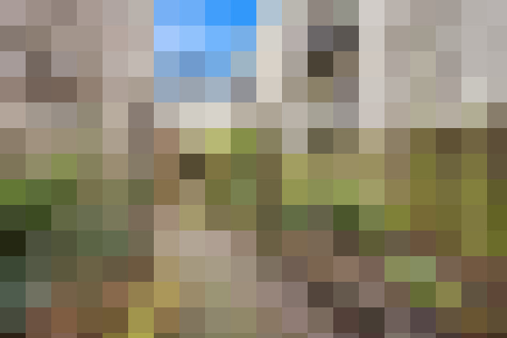 Image 23
