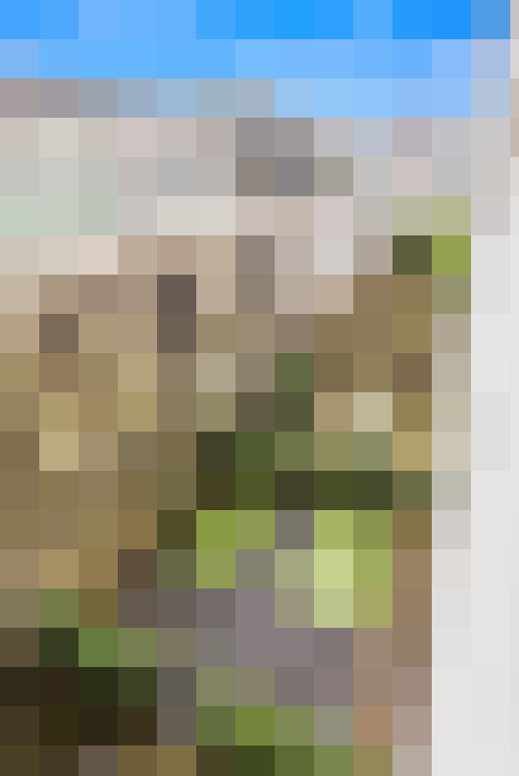 Image 22