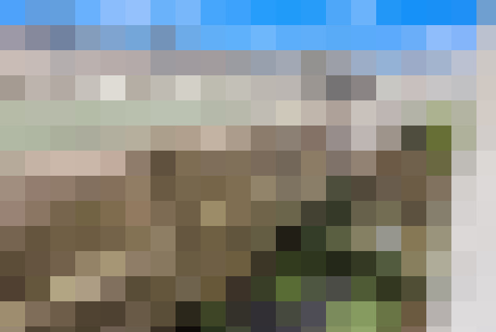Image 21