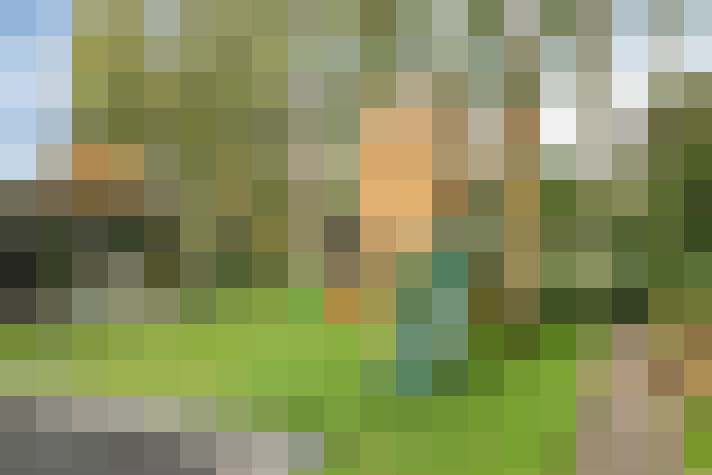 Image 35