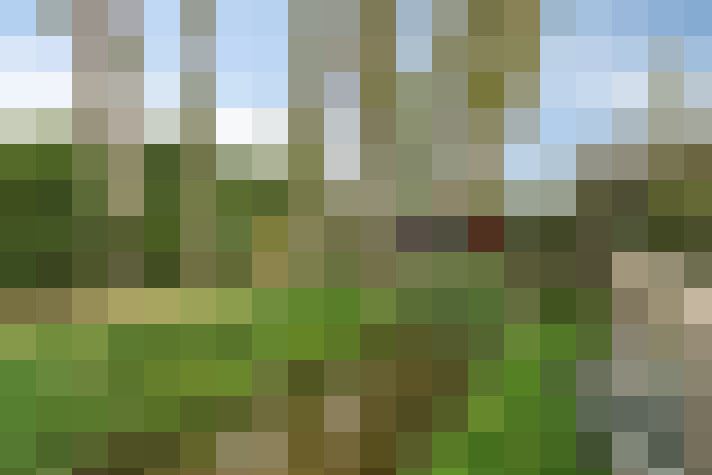 Image 41