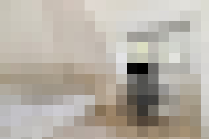 Image 30