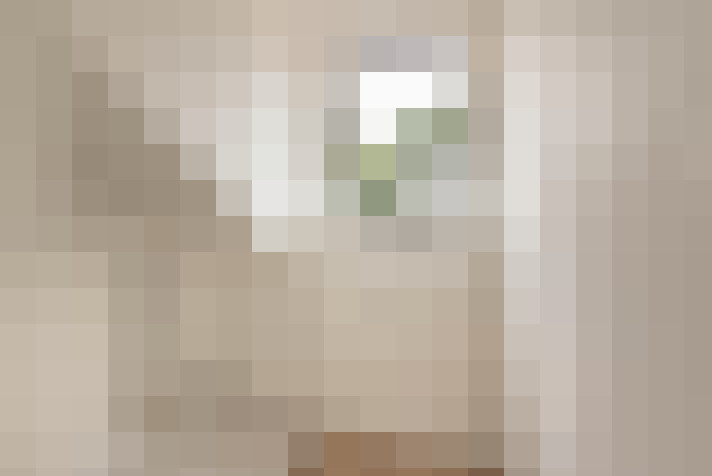 Image 32
