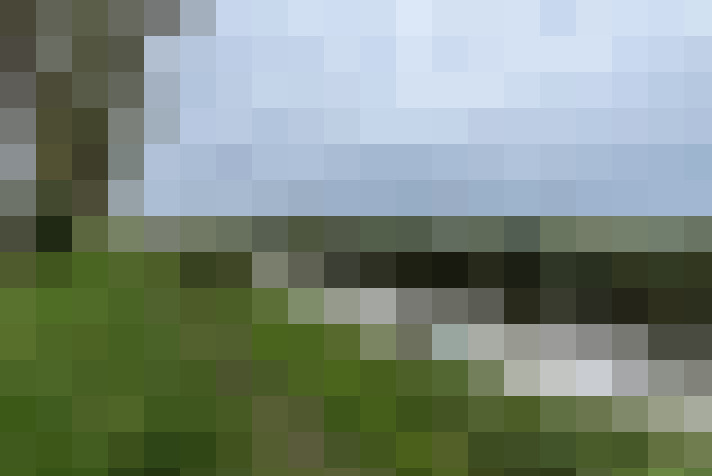 Image 39