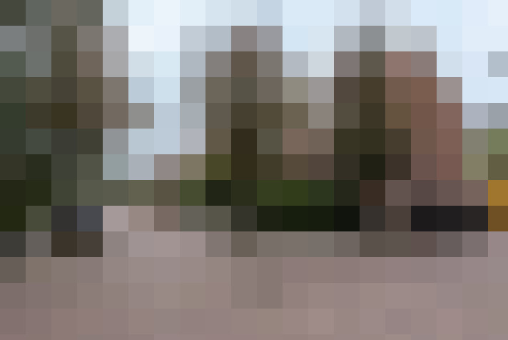 Image 41