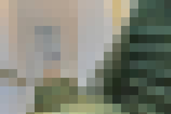 Image 24