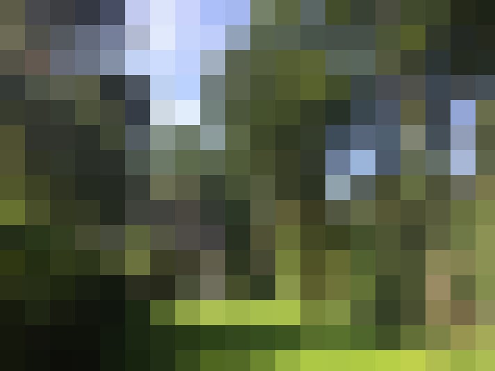 Image 22