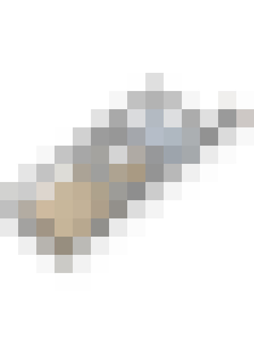 Image 29
