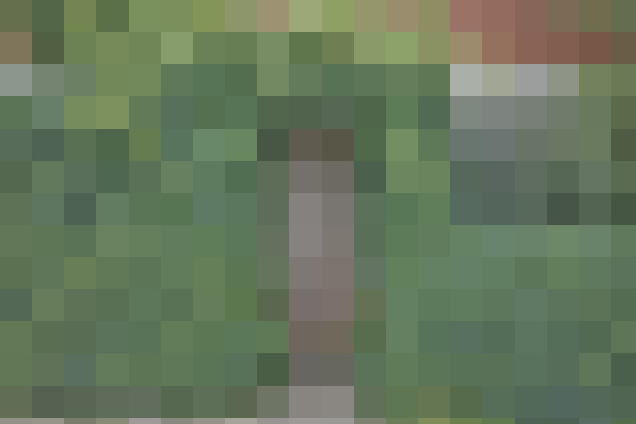 Image 29
