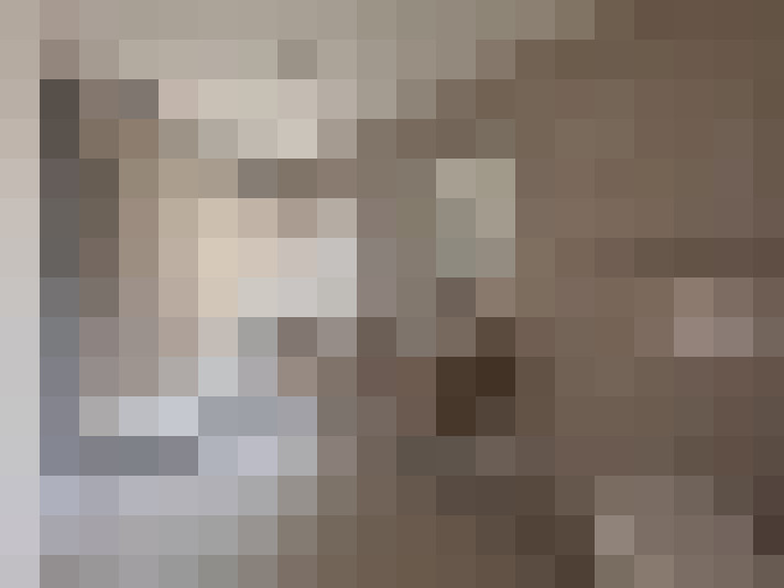 Image 13