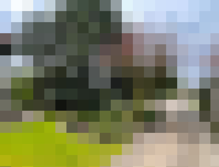 Image 31