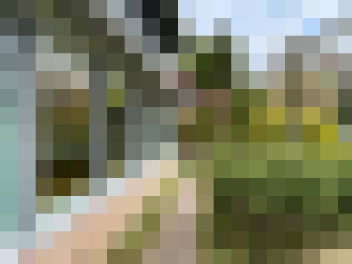 Image 34