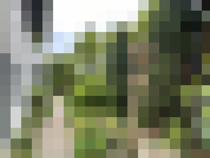 Image 33